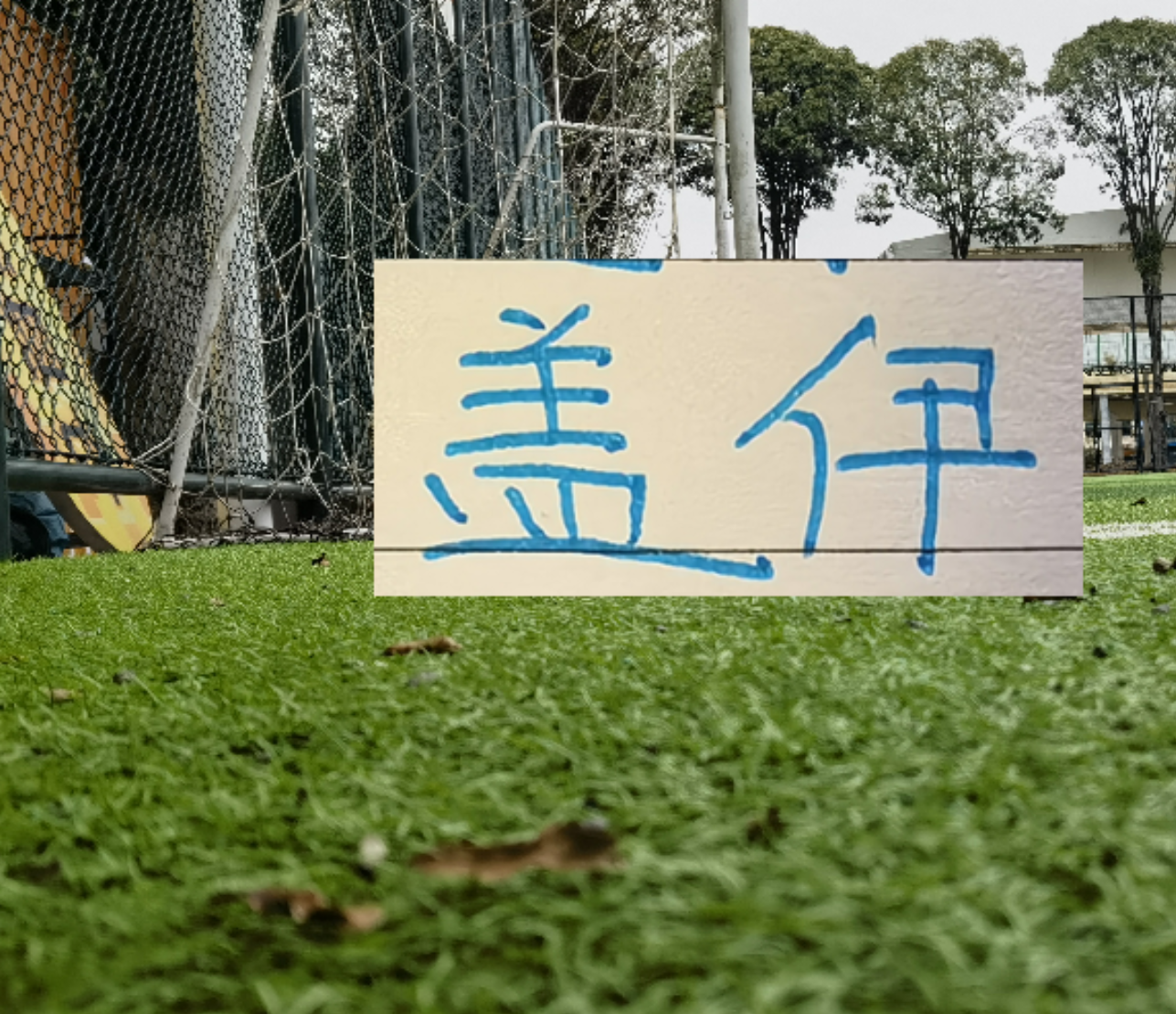 开云官网-申花1米95非洲前锋已回基地